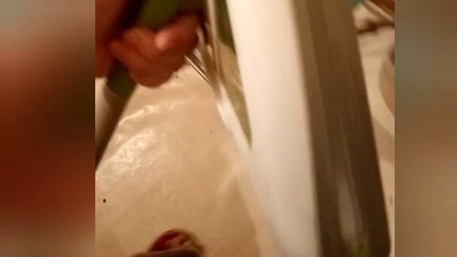 После долгого использования электровеника Kitfort KT-508-1 #бытоваятехникаkitfort #kitfort #китфорт смотреть онлайн