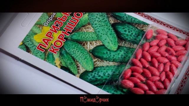 Семена Огурец Парижский корнишон F1 дражированные - Помидорчик смотреть онлайн