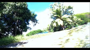 sailing to elysium (bonus)