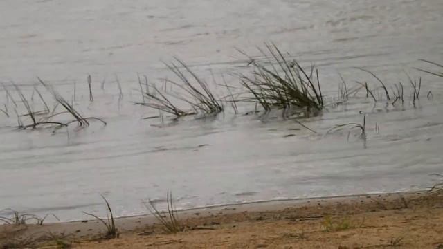 Природа Сибири Классное видео смотреть онлайн