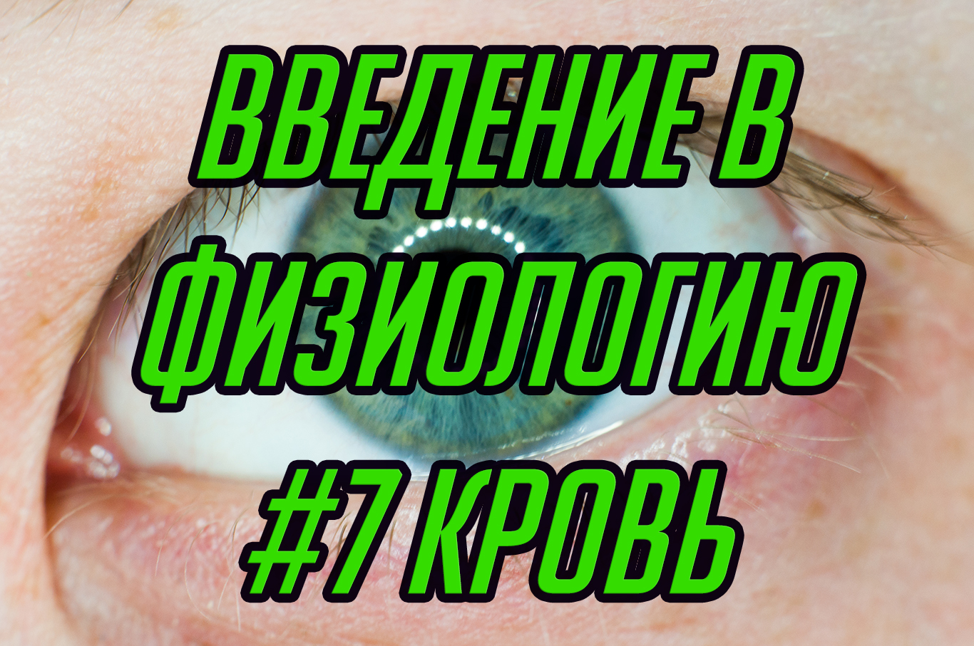 Основы физиологии #7. Система крови