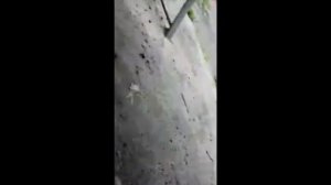 Шприцевание кардана на Ленд крузер 100