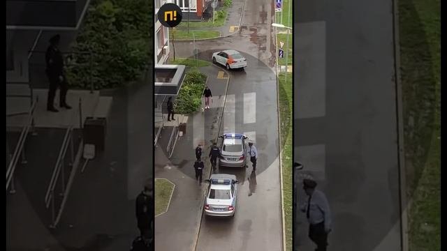В Нахабине задержали мигранта, ударившего девушку из-за коротких шорт