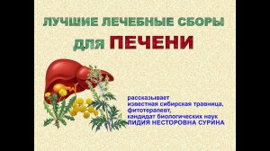 Лучшие лекарственные сборы для печени