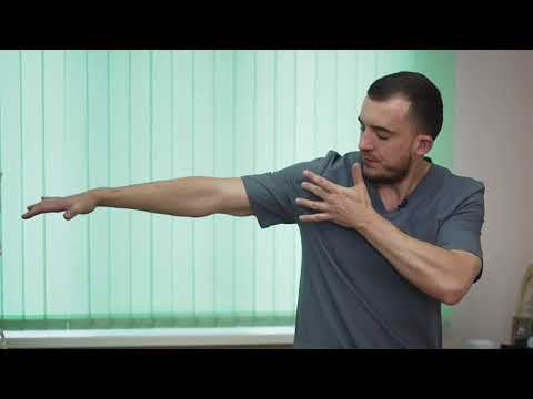 Длинная головка бицепса