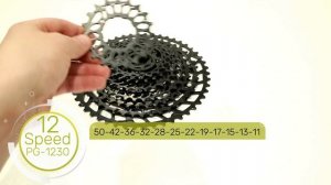 Sram NX Eagle 11-50 12-Speed Cassette (PG-1230)