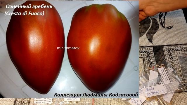 Шикарная коллекция семян от Людмилы Кодзасовой ! смотреть онлайн