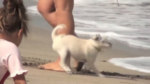 соревнования по серфингу на Бали, серф уроки. news 5