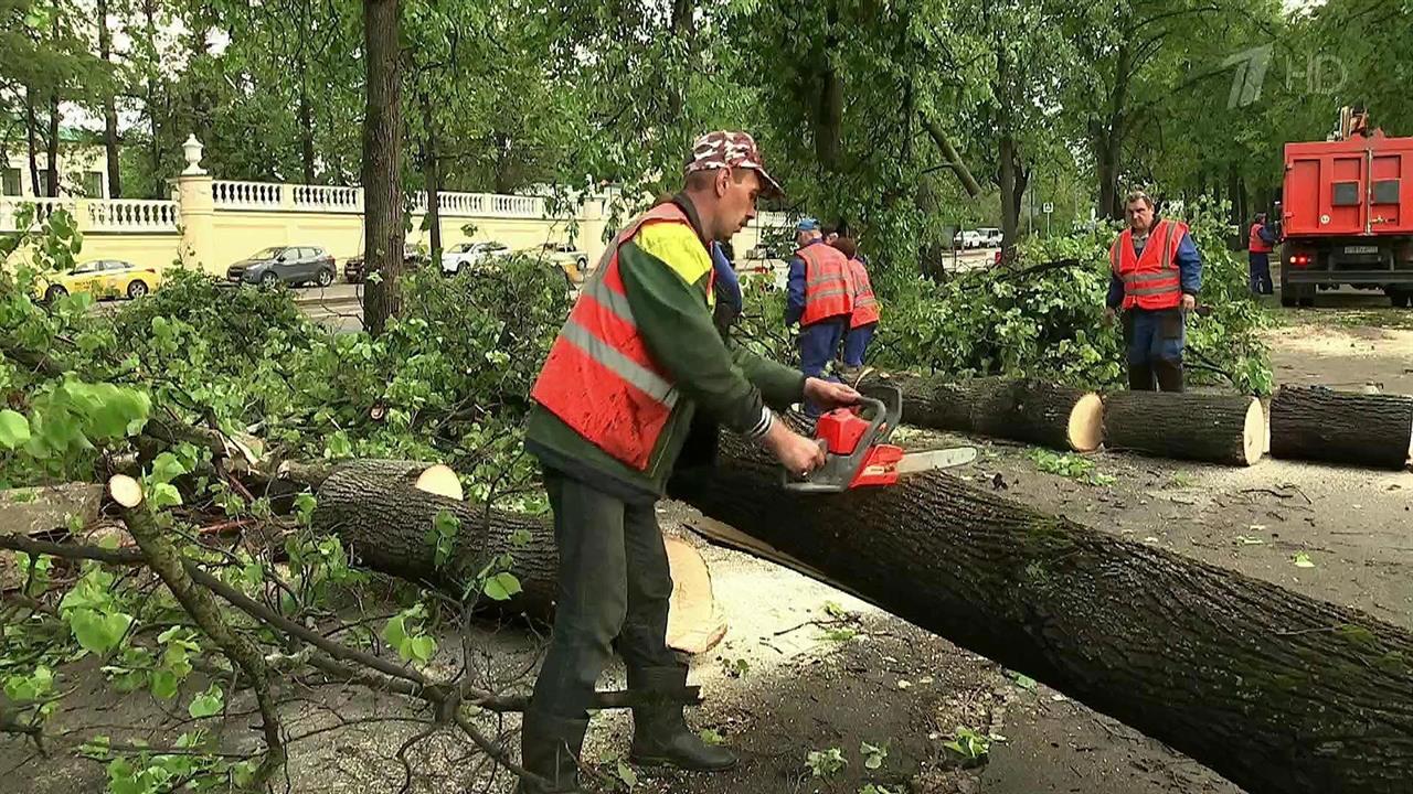 В результате сильного урагана в Москве и Подмосковье погибли 16 человек