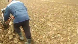 Готовим землю под картофель/Вспашка оборотным плугом