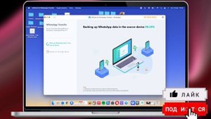 Как сделать резервную копию данных WhatsApp? Перенос данных WhatsApp на новый iPhone!