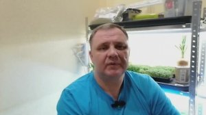 Сити ферма