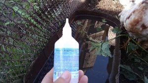 Перекись водорода в помощь для домашней птицы.