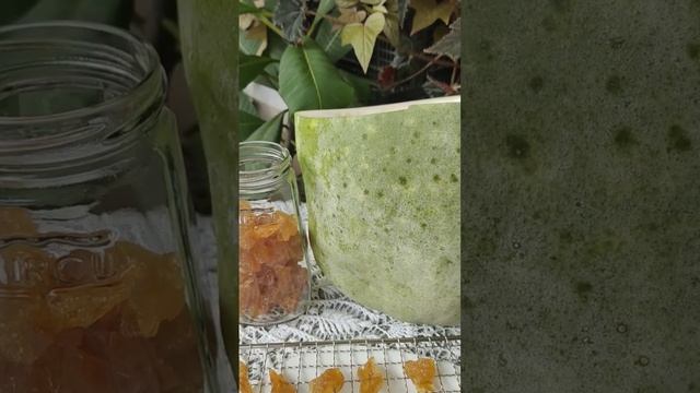 Настоящий мармелад из... тыквы Бенинказы! смотреть онлайн