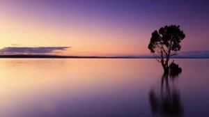 Ambient Chillout Lounge Relaxing Music