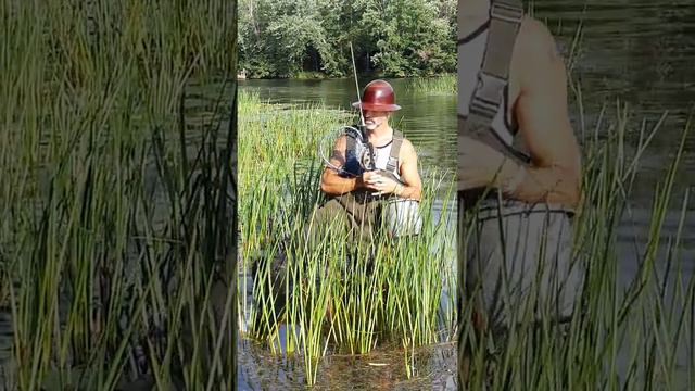 Canadian Tire Product Review - Woods Chest Waders