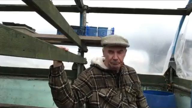 cleaning the cabbage and seed sowing march 2023 смотреть онлайн