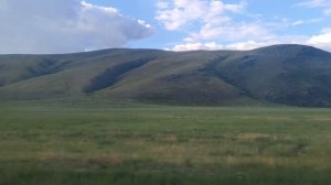 Природа Забайкалья. Автобус Борзя - Чита. 28.06.2019