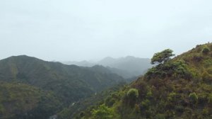 Мотоциклет Benelli - 302S