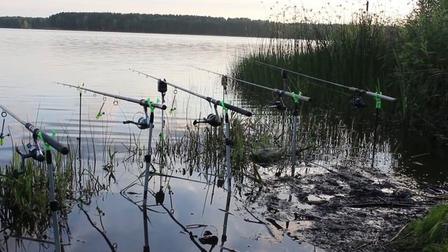 Собирался на сома, поехал на карася, а поймал щуку. Рыбалка донками в Беларуси. смотреть онлайн