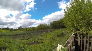 Приусадебное хозяйство .Дачное садоводство.