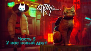 Stray. Часть 5. У нас новый друг!