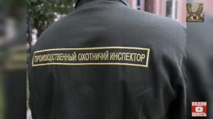 Производственные охотничьи инспектора в праве. Производственный охотничий контроль.