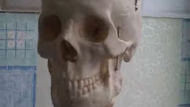 Тебе дать по сосать смотреть онлайн