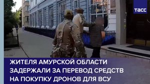 Жителя Амурской области задержали за перевод средств на покупку дронов для ВСУ