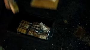 Мясо и сало горячего копчения на мангале у кума на даче