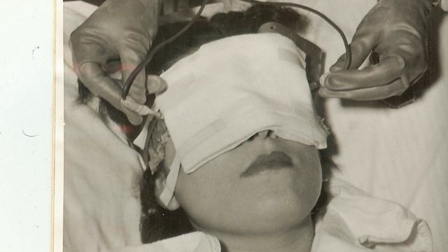 Cat urine; cat pee, cat urinating problems, cat hoarding,Toxoplasmosis, смотреть онлайн