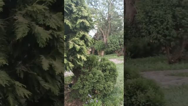 ОТКРЫТКА смотреть онлайн