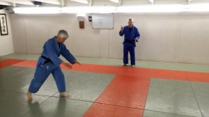 Zempo-Kaiten-Ukemi: Basics