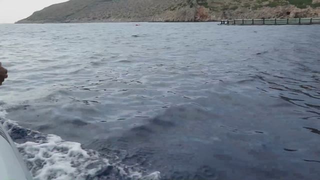 Blutopia marine park in Rhodes смотреть онлайн