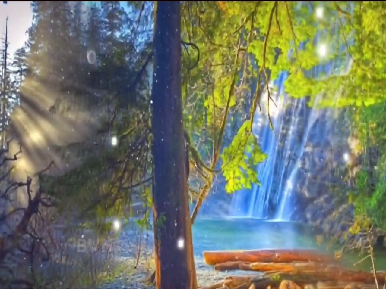 Русский лес смотреть онлайн