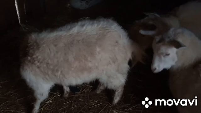 Каждый день в радость! смотреть онлайн