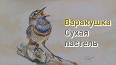 Варакушка. Сухая пастель.