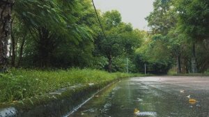 Som De Chuva E Musica Relaxante Para Dormir - Barulho De Chuva No Parque - Musica Para Relaxar