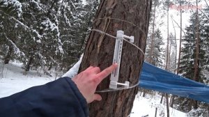 24часа в лесу / ночуем в лесу / ночь в лесу / шалаш в лесу / выживание в лесу / выживание