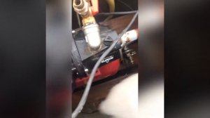 Насосная станция после затопления