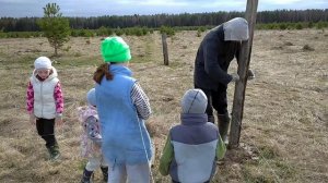 Меняем столб электроизгороди. Живность ждет пастбищный период.
