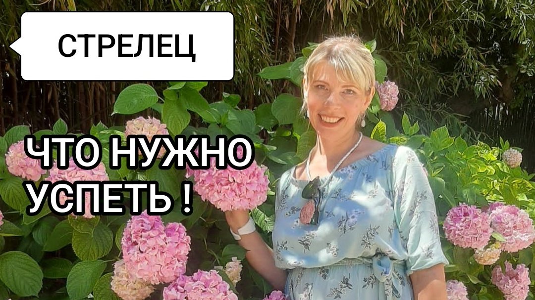 СТРЕЛЕЦ. ЧТО НУЖНО УСПЕТЬ!