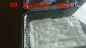 ПАВЛОВНИЯ ИЗ СЕМЕЧКА !!!  Cадим семена павловнии Shan Tong, Pao Tong Z07 и 9501. (Посев 30.12 2021