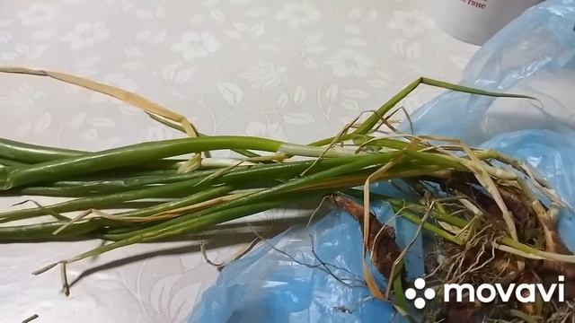 Стирка вручную и всякие домашние дела.