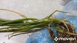 Стирка вручную и всякие домашние дела.