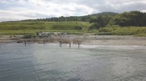 Ловля горбуши в Охотском море Корсаковского района август 2020г.