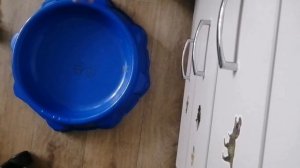 обзор на ультимейт валькирию