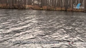 Рыбалка в Васильсурских протоках. Щука на джиг
