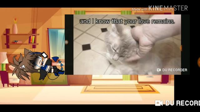 For Gibson from talking kitty cats made by steve смотреть онлайн