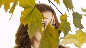 Спустилась ночь над засыпающими кленами